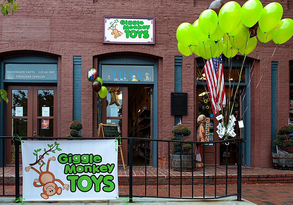 Client Spotlight: Giggle Monkey Toys